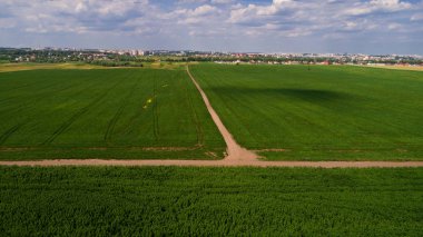 yeşil alan üzerinde bir kamera ile robot