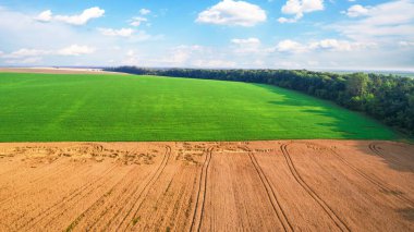 Tarım arazileri, alanları havadan görünümü.