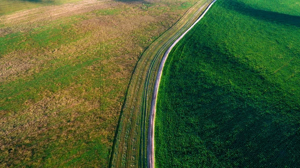 Drönare med kamera över gröna fält — Stockfoto