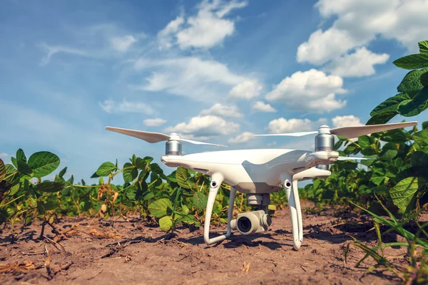 Drone de champ de maïs Image En Vente