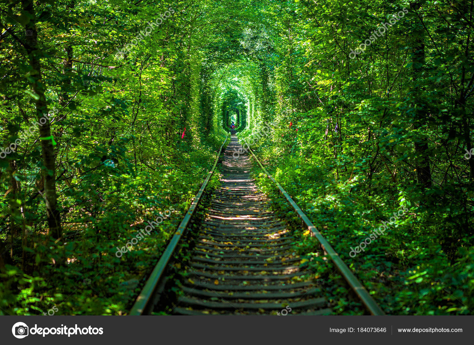 A Railway In The Spring Forest Stock Photo Image By C Ivantsov A Railway In The Spring Forest Stock Photo Image By C Ivantsov