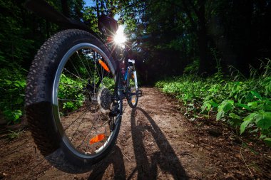 Dağ Bisiklet yaz orman içinde. Doğa