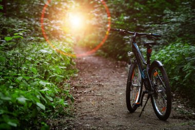 Dağ Bisiklet yaz orman içinde. Doğa