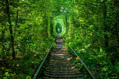Bahar ormanın içinde bir tren 