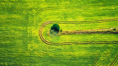 Sebze alanının havadan görünümü 
