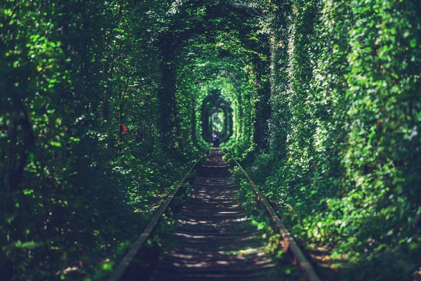 Een spoorlijn in het voorjaar forest — Stockfoto