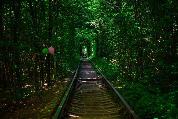 Un chemin de fer dans la forêt de printemps — Photo