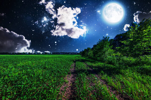 Green night field. sky with stars