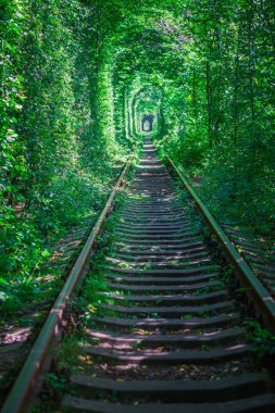 Bahar ormanın içinde bir tren