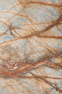 Bidasar kahverengi doku 