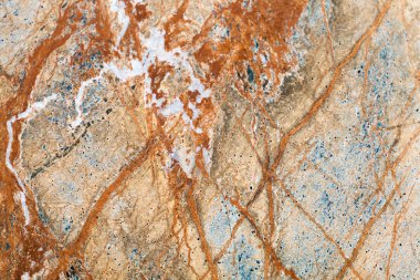 Bidasar kahverengi doku 