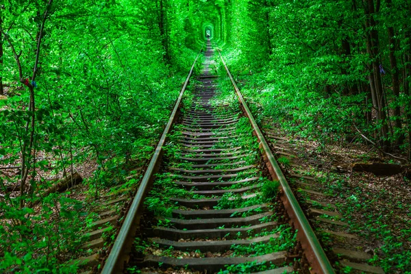 Una ferrovia nella foresta primaverile — Foto Stock
