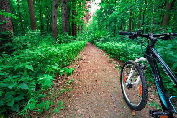 Fiets van de berg in zomer bos. — Stockfoto