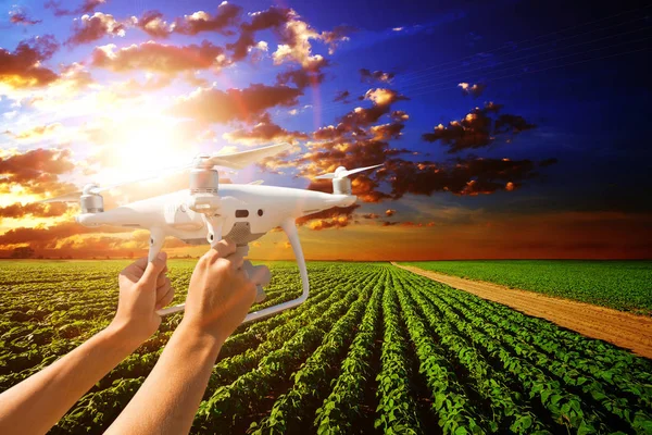 Drone no campo no dia de verão — Fotografia de Stock