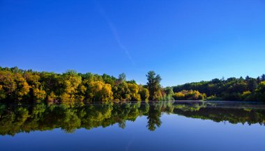 Resimli orman ve nehir.