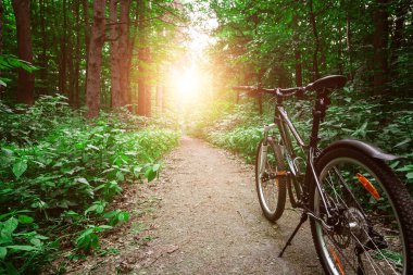 Bisikletle tepeden aşağıya doğru hızla inen dağ bisikleti. Motorcuların gözlerinden bak.