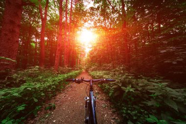 Bisikletle tepeden aşağıya doğru hızla inen dağ bisikleti. Motorcuların gözlerinden bak.