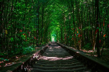 Bahar ormanı aşk tünelinde bir demiryolu.
