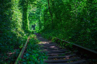 Bahar ormanı aşk tünelinde bir demiryolu.