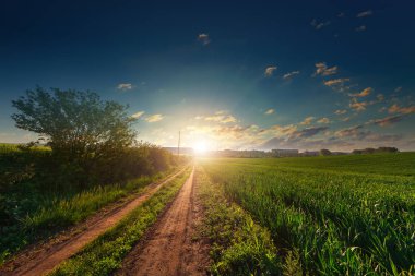 Yeşil Alan ve Güzel Gün Batımı