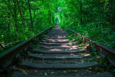 Bahar ormanı aşk tünelinde bir demiryolu.