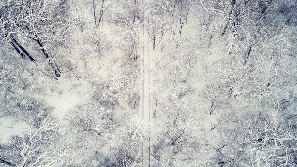 Flygande Över Järnvägsspåren Vinter Skog — Stockfoto