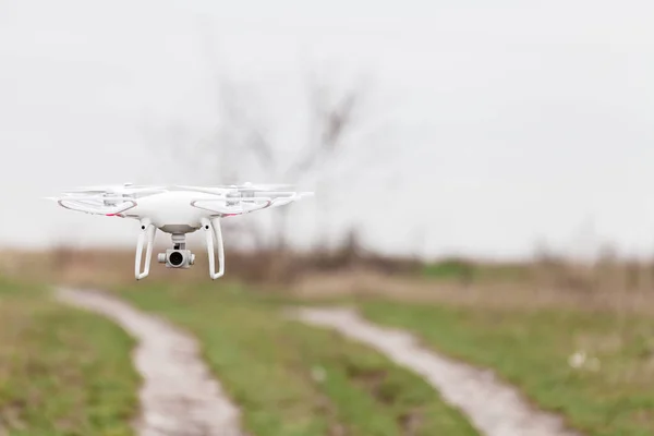 Drone Polu Kukurydzy — Zdjęcie stockowe