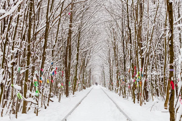 Ferrocarril Túnel Del Bosque Invierno Del Amor — Foto de Stock