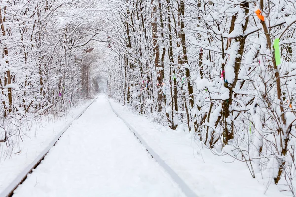 Chemin Fer Dans Tunnel Amour Forêt Hivernale — Photo