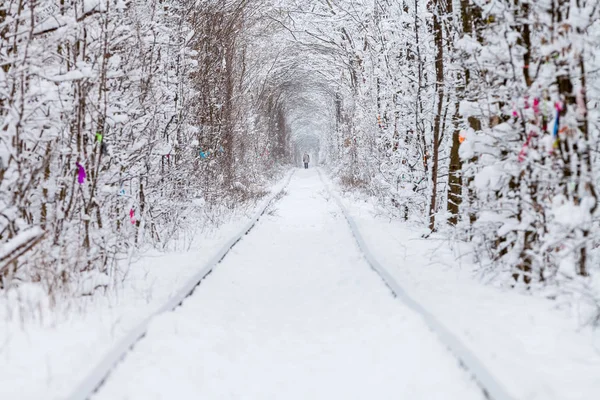 冬季森林隧道里的一条铁路爱的隧道 — 图库照片