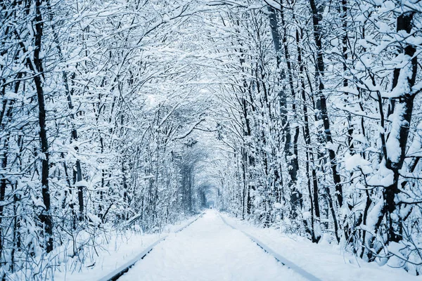 Railway Winter Forest Tunnel Love — Stock Photo, Image