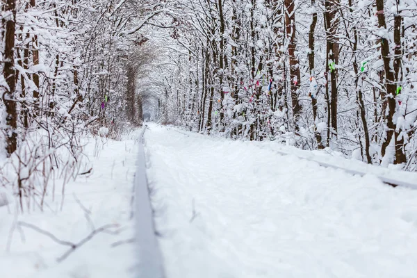 Uma Estrada Ferro Túnel Floresta Inverno Amor — Fotografia de Stock