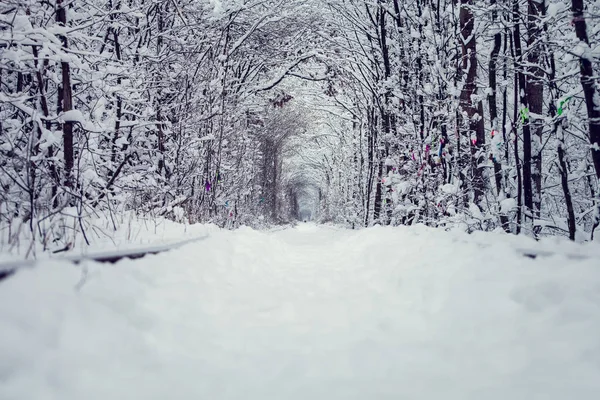 Uma Estrada Ferro Túnel Floresta Inverno Amor — Fotografia de Stock