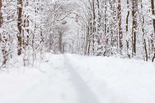 Uma Estrada Ferro Túnel Floresta Inverno Amor — Fotografia de Stock