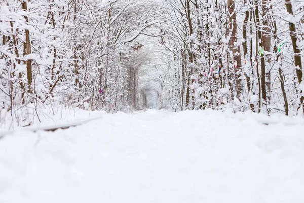 Eine Eisenbahn Winterwaldtunnel Der Liebe — Stockfoto
