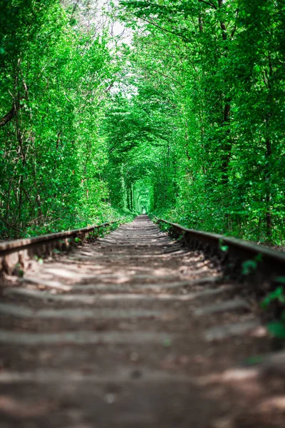 Ferrocarril Túnel Del Bosque Primavera Del Amor — Foto de Stock