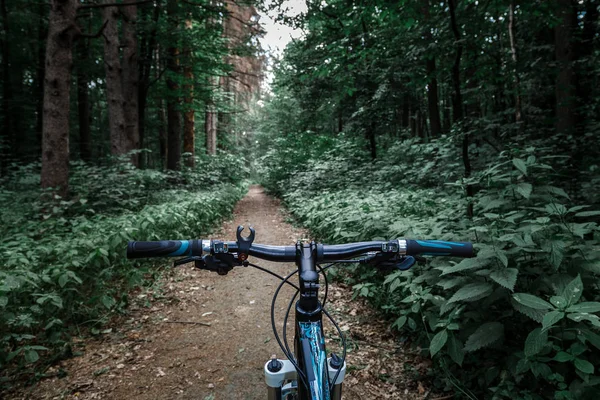 Montanha Bicicleta Descendo Colina Descendo Rápido Bicicleta Vista Olhos Motociclistas — Fotografia de Stock