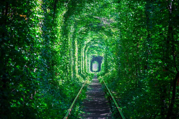 Bahar Ormanı Aşk Tünelinde Bir Demiryolu — Stok fotoğraf