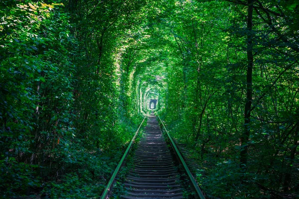 Ferrocarril Túnel Del Bosque Primavera Del Amor — Foto de Stock