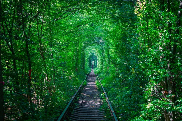 Een Spoorweg Het Voorjaar Bos Tunnel Van Liefde — Stockfoto