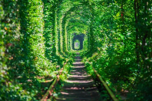 Chemin Fer Dans Tunnel Amour Forêt Printanière — Photo