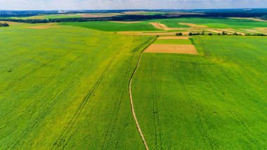 Yeşil Alan ve Güzel Gün Batımı