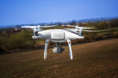 Dron kuad helikopteri yeşil mısır tarlasında