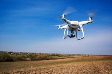 Dron kuad helikopteri yeşil mısır tarlasında