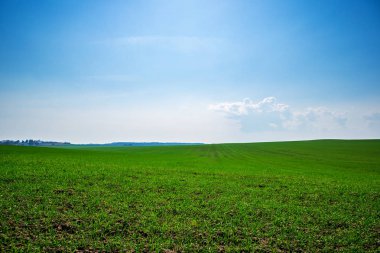 Yeşil Alan ve Güzel Gün Batımı