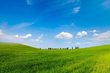 Yeşil Alan ve Güzel Gün Batımı