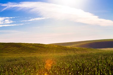 Yeşil Alan ve Güzel Gün Batımı