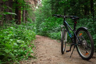 Bisikletle tepeden aşağıya doğru hızla inen dağ bisikleti. Motorcuların gözlerinden bak.