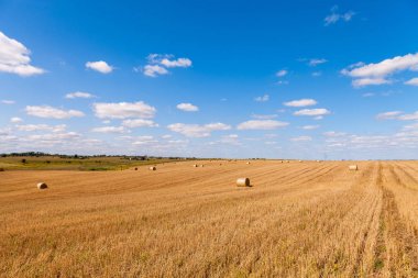 Gün batımında saman balyalarıyla hasat üstüne buğday tarlası.