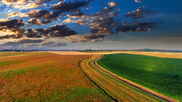 Green Field Set Shot Drone — стоковое фото